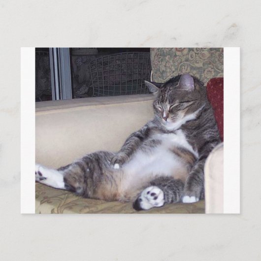 パンツもしかブラジャーが… ポストカード (正面)