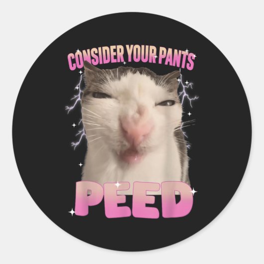 パンツを脱いだ猫間抜けミームの男おもしろい人 ラウンドシール (正面)