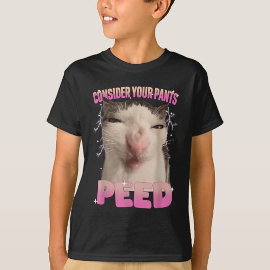 パンツを脱いだ猫間抜けミームの男おもしろい人 Tシャツ (正面)