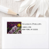 パンツカラフルファンシーパンジー差出人住所 ラベル (インサイチュ)