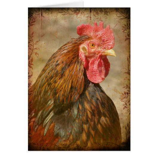 パンツファンシー (正面)