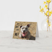 パンティングピットブルハイノテカード カード (黄色い花)