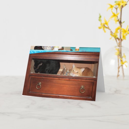 パンティ・レイド カード (黄色い花)