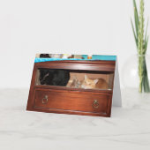 パンティ・レイド カード (正面)