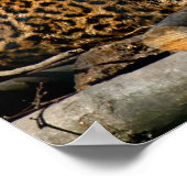 パンテラジャガーのポスター ポスター (角)