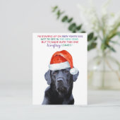 パンデミック新年イブ検疫犬 シーズンポストカード (スタンド正面)