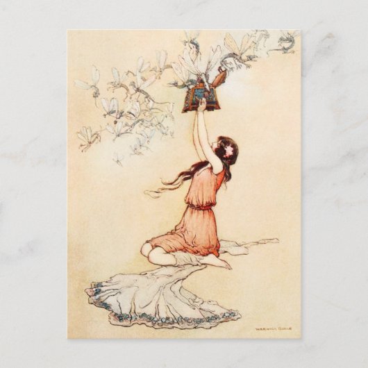 パンドかわいらしラが箱を開ける ポストカード (正面)