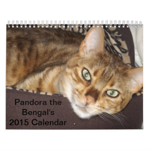 パンドラベンガル2015のカレンダー カレンダー