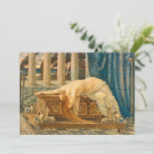 パンドラ | ウォルタークレーン カード (スタンド正面)