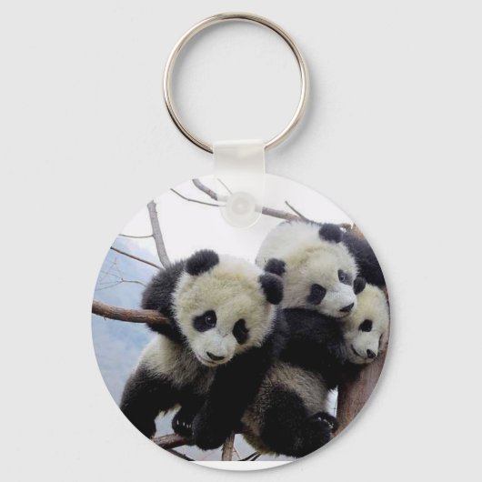 パンドラ キーホルダー (正面)