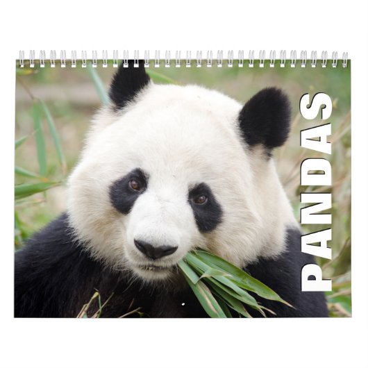 パンドラ(PANDAS)ウォールカレンダー カレンダー (カバー)