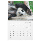パンドラ(PANDAS)ウォールカレンダー カレンダー (1月 2027)