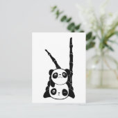 パンドラ(PANDAS)カードの山 ポストカード (スタンド正面)