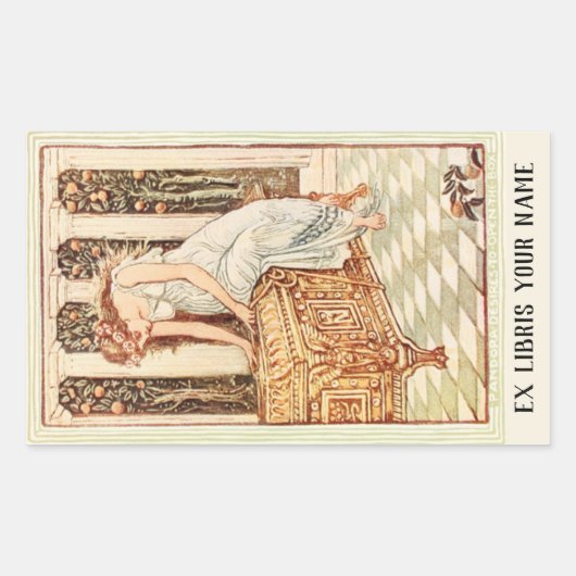 パンドラ(PANDORA)のボックスブックプレート 長方形シール (正面)