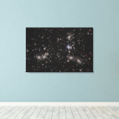 パンドラ(PANDORA)クラスター キャンバスプリント (インサイチュ (ウッドフロア))