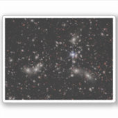 パンドラ(PANDORA)クラスター シール (正面)