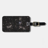 パンドラ(PANDORA)クラスター ラゲッジタグ (正面横)