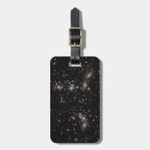 パンドラ(PANDORA)クラスター ラゲッジタグ (正面縦)