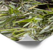 パンド食べ物スの竹! ポスター (角)