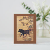 パンニ苍猊 ～チベットマスティフ～ジュゼッペ・カスティリオーネ～ ポストカード (スタンド正面)