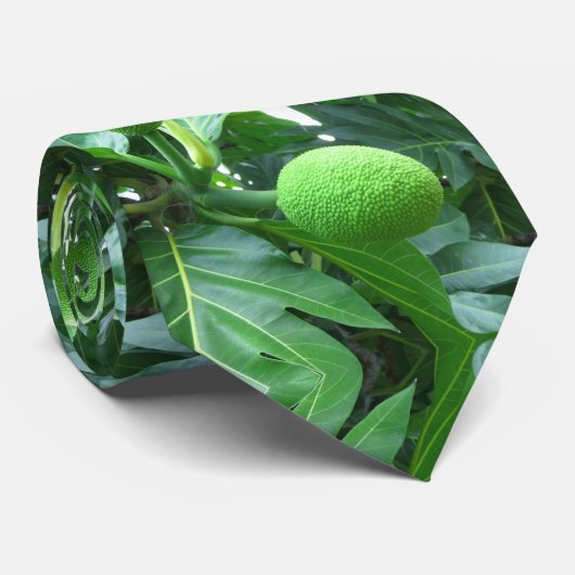 パンノキ ネクタイ (ロール)