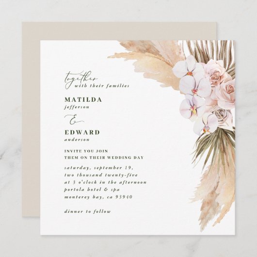 パンパスグラスのデザート自然乾燥植物薬 (正面/裏面)