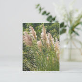 パンパス草 ポストカード (スタンド正面)