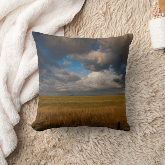 パンパス クッション (ブランケット)