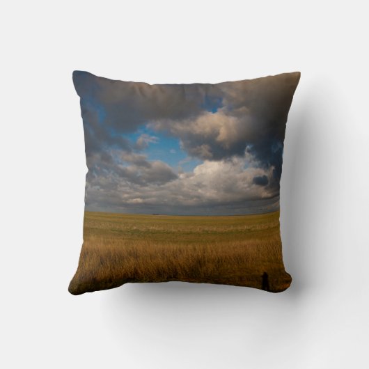 パンパス クッション (裏面)