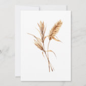 パンパス グラス リハーサル ディナー & サンデー ブランシュ 招待状 (裏面)