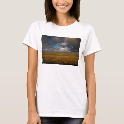 パンパス Tシャツ (正面)