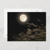 パンパ日本のスグラス ポストカード (正面/裏面)