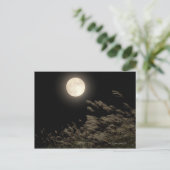 パンパ日本のスグラス ポストカード (スタンド正面)