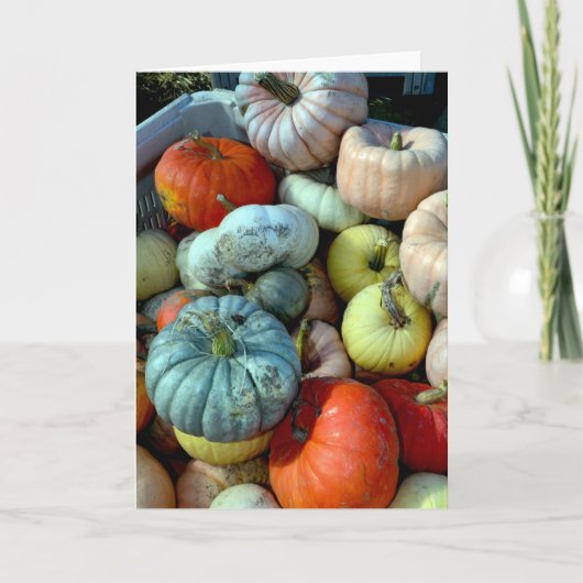 パンプキカラフルンのグリーティングカード シーズンカード (正面)