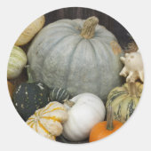 パンプキカラフルンの収穫 ラウンドシール (正面)