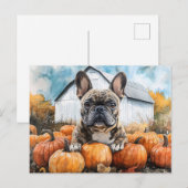 パンプキフランスのンパッチのブルドッグ ポストカード (正面/裏面)