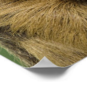 パンプキンでナマケモノ ポスター (角)