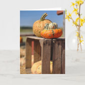 パンプキンとカボチャのカード カード (黄色い花)