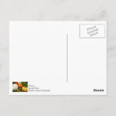 パンプキンとゴールド ポストカード (裏面)