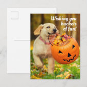 パンプキンのバケツを持つ子犬 インビテーションポストカード (正面/裏面)