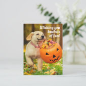パンプキンのバケツを持つ子犬 インビテーションポストカード (スタンド正面)
