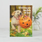 パンプキンのバケツを持つ子犬 招待状 (スタンド正面)