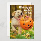 パンプキンのバケツを持つ子犬 招待状 (正面/裏面)