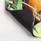 パンプキンオンつる植物自然 マウスパッド (コーナー)