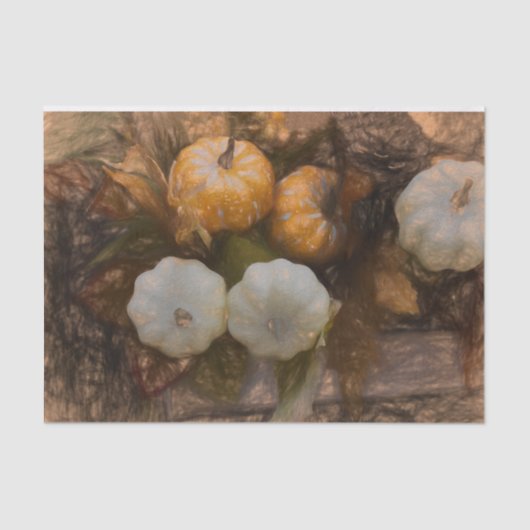 パンプキンオータムホワイトオレンジヴィンテージアンティークスケッチ 薄葉紙 (正面)