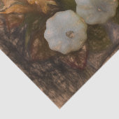 パンプキンオータムホワイトオレンジヴィンテージアンティークスケッチ 薄葉紙 (詳細)