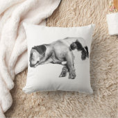 パンプキングローコンパニオン クッション (ブランケット)