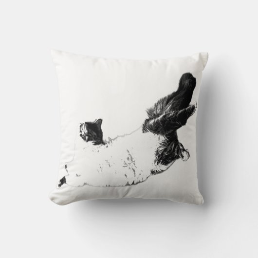 パンプキングローリクライニング クッション (正面)