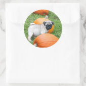 パンプキンスのステッカーでパピーをパグ ラウンドシール (バッグ)
