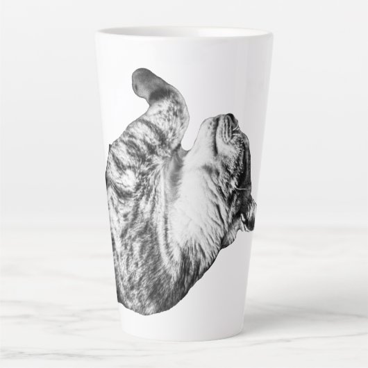 パンプキンスパイスシエスタ カフェラテマグ (正面)